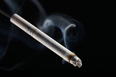 手绘画面治愈系冒险游戏《废城喵游记》12月发售